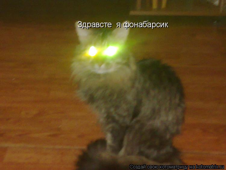 Здравсте я фонабарсик... Котоматрица: Здравсте я фонабарсик