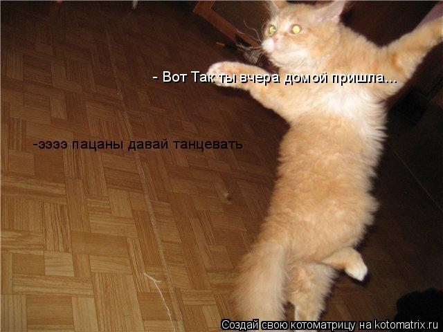 - Вот Так ты вчера домой пришла...... Котоматрица: - Вот Так ты вчера домой пришла...