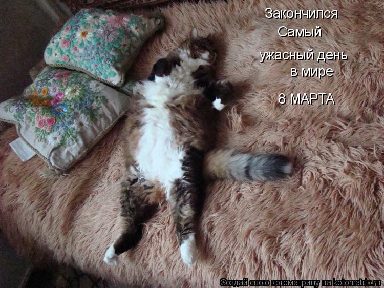 Закончился Самый ужасный день в мире 8 МАРТА... Котоматрица: Закончился Самый ужасный день в мире 8 МАРТА