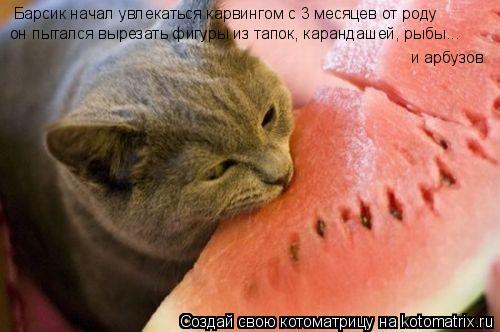 Барсик начал увлекаться карвингом с 3 месяцев от роду он пытался вырезать фигуры из тапок, карандашей... Котоматрица: Барсик начал увлекаться карвингом с 3 месяцев от роду он пытался вырезать фигуры из тапок, карандашей, рыбы... и арбузов