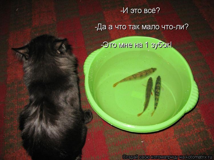 -И это всё? -Да а что так мало что-ли? -Это мне на 1 зубок!... Котоматрица: -И это всё? -Да а что так мало что-ли? -Это мне на 1 зубок!