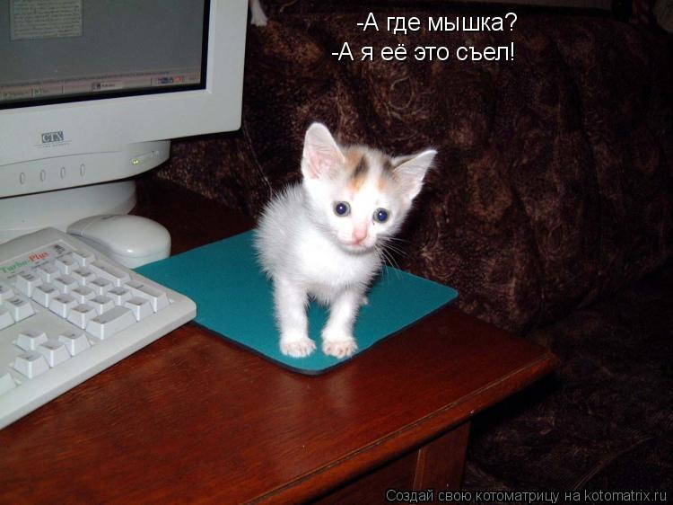 -А где мышка? -А я её это съел!... Котоматрица: -А где мышка? -А я её это съел!