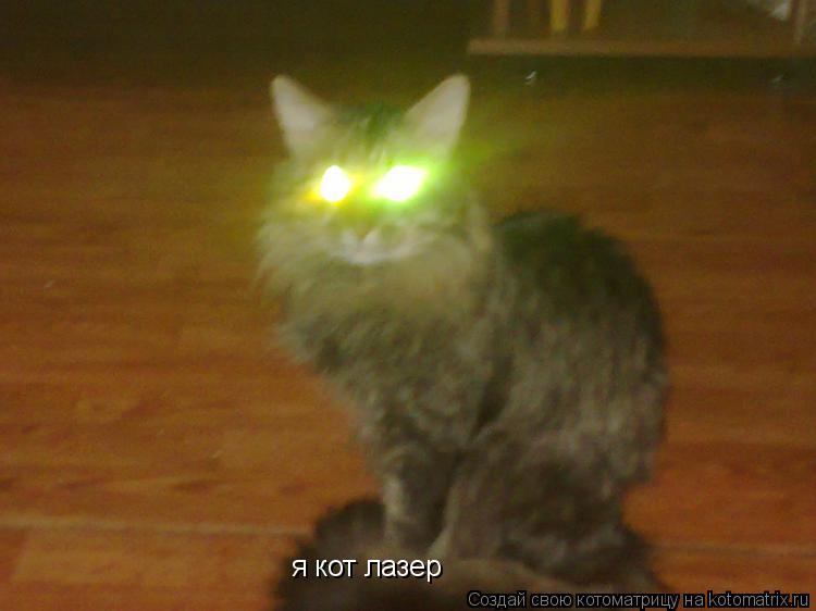 я кот лазер... Котоматрица: я кот лазер