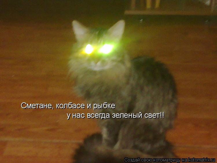 Котоматрица: Сметане, колбасе и рыбке у нас всегда зеленый свет!!