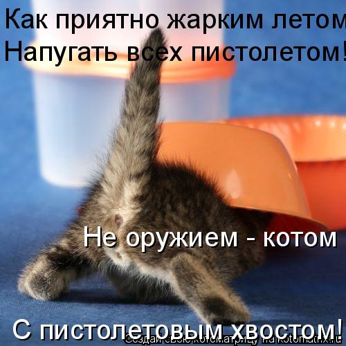 Как приятно жарким летом Напугать всех пистолетом! Не оружием - котом С пистолетовым хвостом!... Котоматрица: Как приятно жарким летом Напугать всех пистолетом! Не оружием - котом С пистолетовым хвостом!