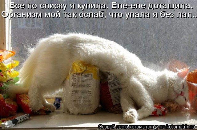 Все по списку я купила. Еле-еле дотащила. Организм мой так ослаб, что упала я без лап...... Котоматрица: Все по списку я купила. Еле-еле дотащила. Организм мой так ослаб, что упала я без лап...