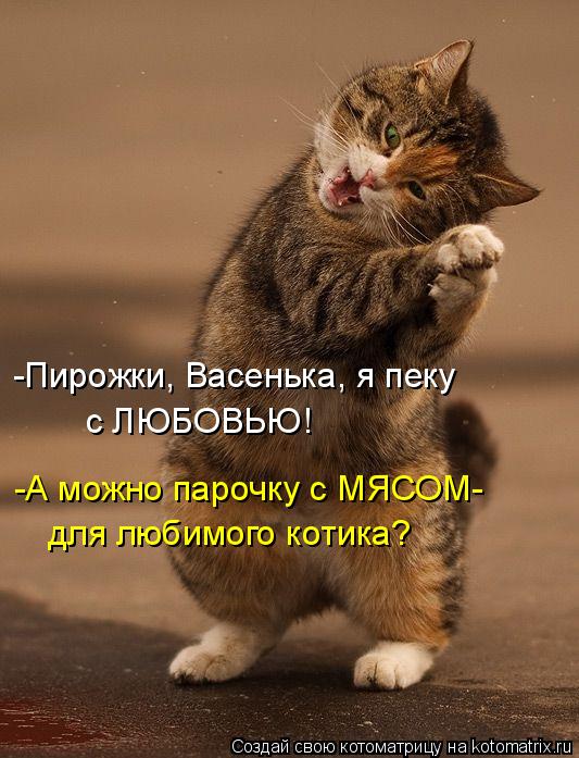 Котоматрица: -Пирожки, Васенька, я пеку с ЛЮБОВЬЮ! -А можно парочку с МЯСОМ- для любимого котика?