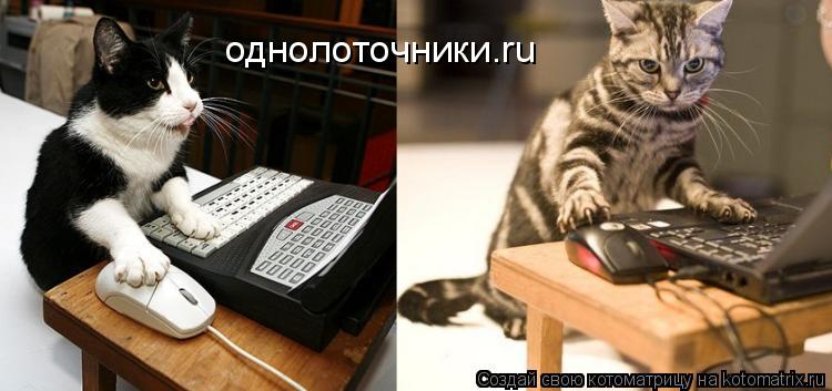 однолоточники.ru... Котоматрица: однолоточники.ru