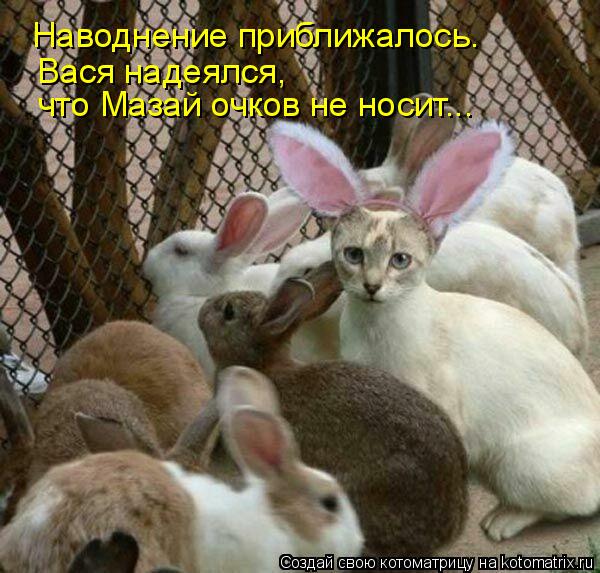 Котоматрица: Наводнение приближалось.  что Мазай очков не носит... Вася надеялся,