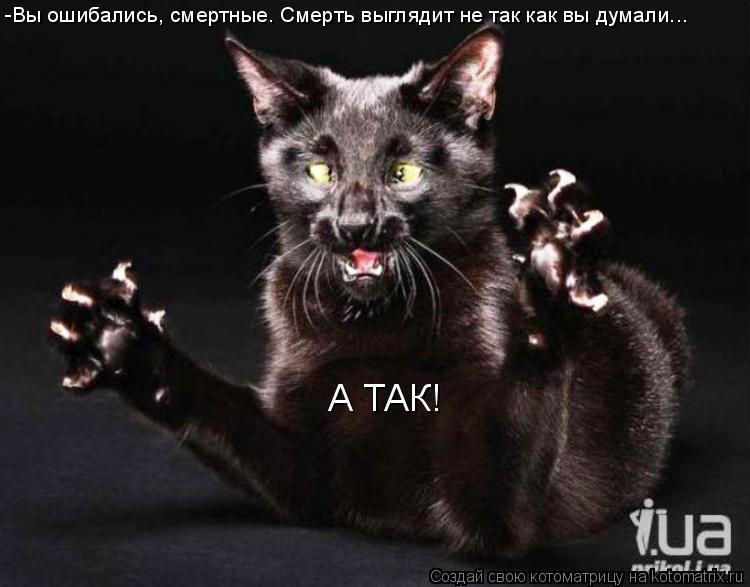 -Вы ошибались, смертные. Смерть выглядит не так как вы думали... А ТАК!... Котоматрица: -Вы ошибались, смертные. Смерть выглядит не так как вы думали... А ТАК!