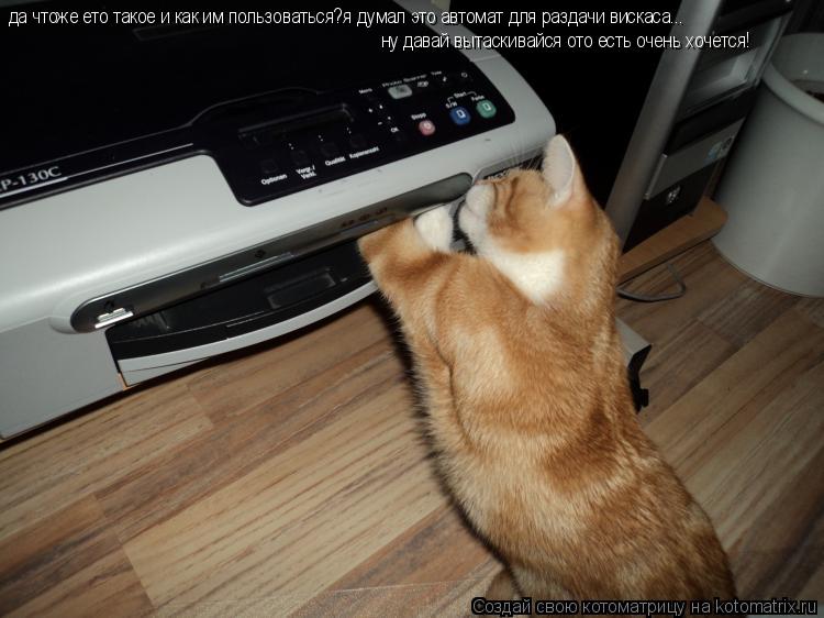 да чтоже ето такое и как им пользоваться?я думал это автомат для раздачи вискаса... ну давай вытаскив... Котоматрица: да чтоже ето такое и как им пользоваться?я думал это автомат для раздачи вискаса... ну давай вытаскивайся ото есть очень хочется! да чтоже ет