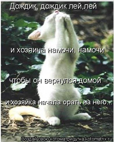 Дождик, дождик лей,лей и хозяина намочи, намочи чтобы он вернулся домой и хозяйка начала орать на нег... Котоматрица: Дождик, дождик лей,лей и хозяина намочи, намочи чтобы он вернулся домой и хозяйка начала орать на него...