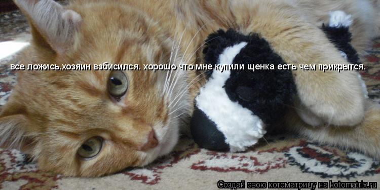Котоматрица: все ложись.хозяин взбисился. хорошо что мне купили щенка есть чем прикрытся.