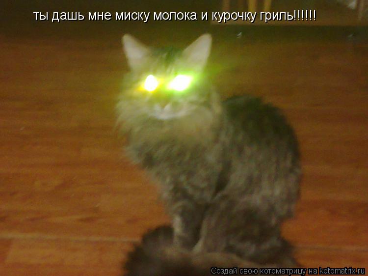 Котоматрица: ты дашь мне миску молока и курочку гриль!!!!!!