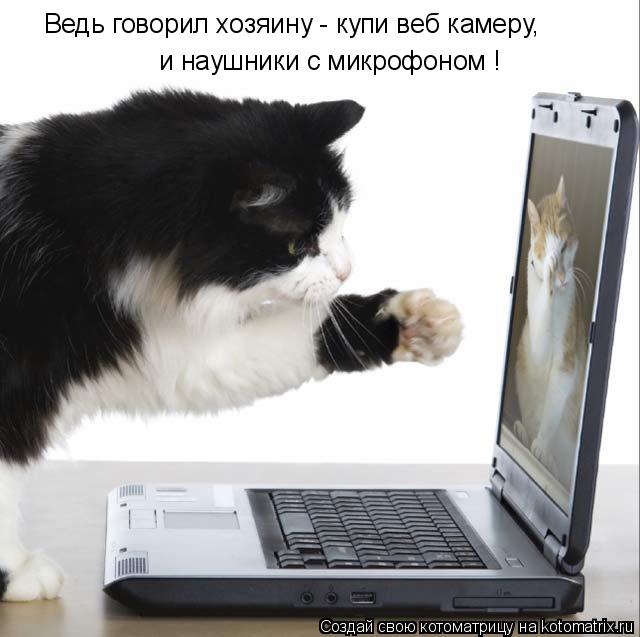Котоматрица: Ведь говорил хозяину - купи веб камеру, и наушники с микрофоном ! и наушники с микрофоном !