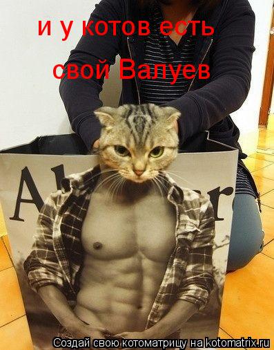 Котоматрица: и у котов есть свой Валуев