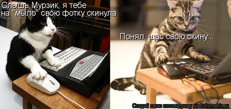 Котоматрица: на "мыло" свою фотку скинула. Понял, щас свою скину... Слышь,Мурзик, я тебе на "мыло" свою фотку скинула Понял, щас свою скину...