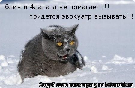 Котоматрица: блин и 4лапа-д не помагает !!! придется эвокуатр вызывать!!!