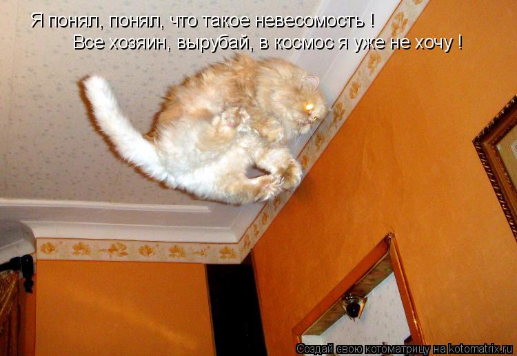 Котоматрица: Я понял, понял, что такое невесомость ! Все хозяин, вырубай, в космос я уже не хочу !