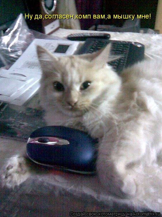 Котоматрица: Ну да,согласен,комп вам,а мышку мне!