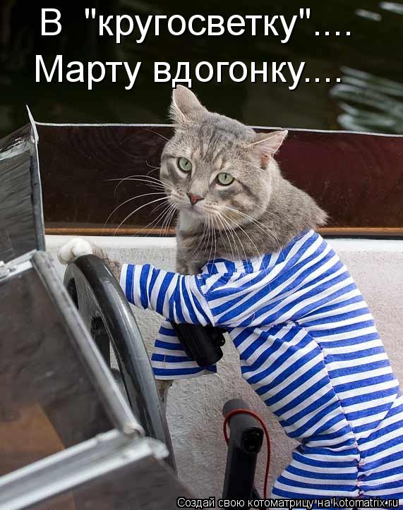 В "кругосветку".... Марту вдогонку....... Котоматрица: В "кругосветку".... Марту вдогонку....