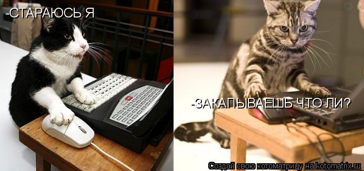 Котоматрица: -СТАРАЮСЬ Я -ЗАКАПЫВАЕШЬ ЧТО ЛИ?
