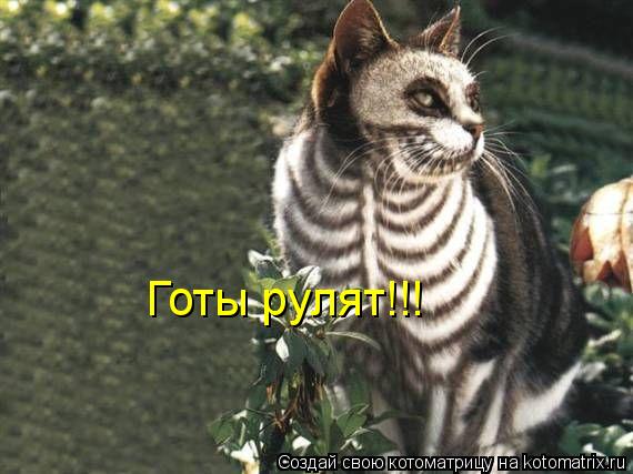 Котоматрица: Готы рулят!!!