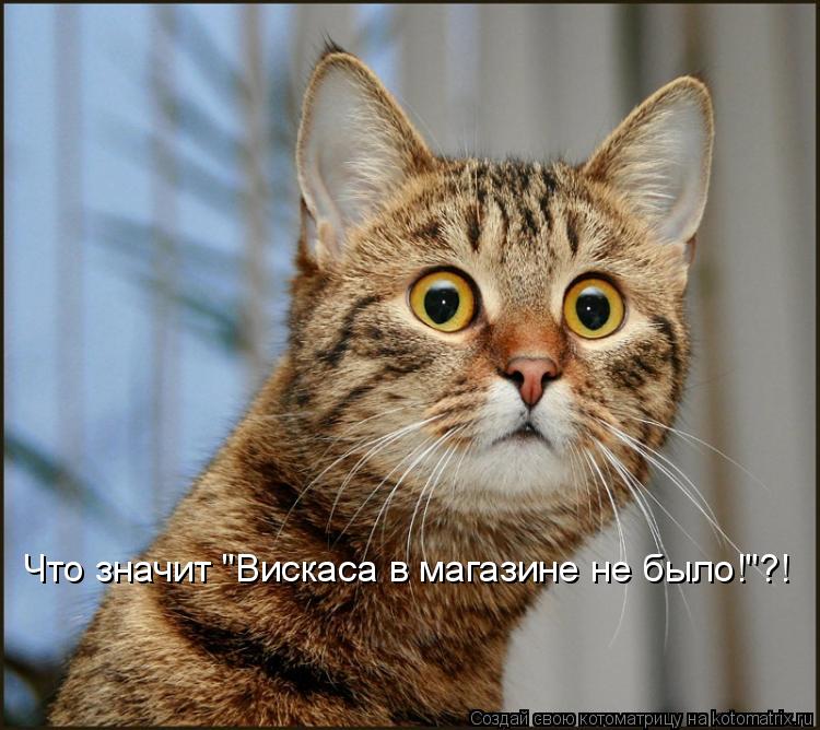 Котоматрица: Что значит "Вискаса в магазине не было!"?!
