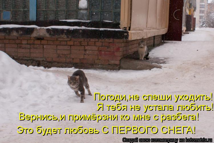 Котоматрица: Вернись,и примёрзни ко мне с разбега! Это будет любовь С ПЕРВОГО СНЕГА! Я тебя не устала любить! Погоди,не спеши уходить!
