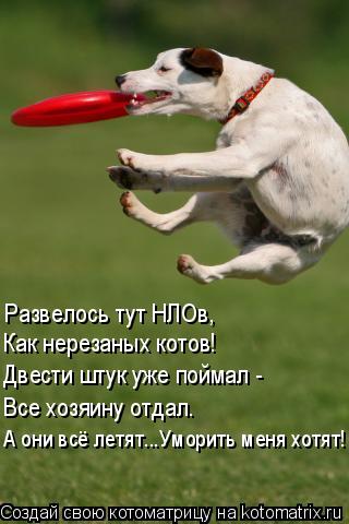 Котоматрица: Развелось тут НЛОв, Как нерезаных котов! Двести штук уже поймал - Все хозяину отдал. А они всё летят...Уморить меня хотят!