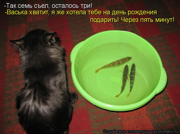 Котоматрица: -Так семь съел, осталось три! -Васька хватит, я же хотела тебе на день рождения подарить! Через пять минут!
