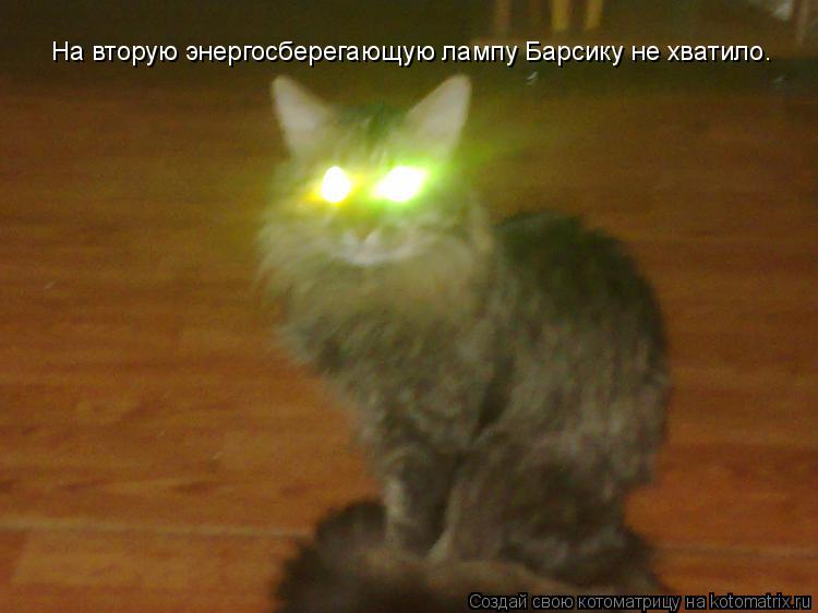 Котоматрица: На вторую энергосберегающую лампу Барсику не хватило.