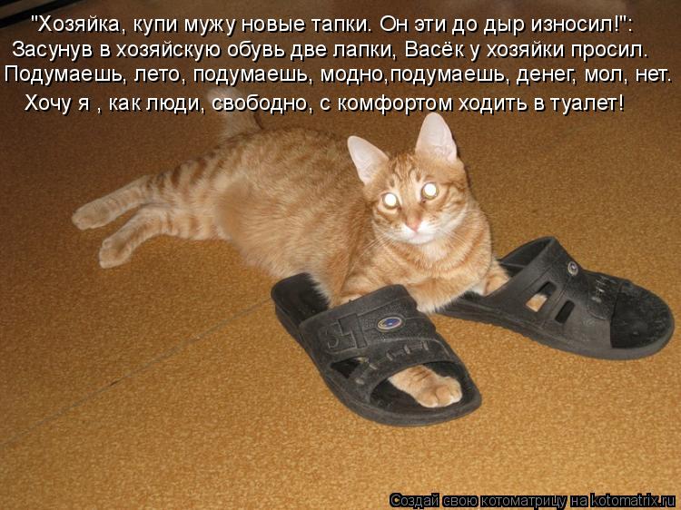 Котоматрица: "Хозяйка, купи мужу новые тапки. Он эти до дыр износил!": Засунув в хозяйскую обувь две лапки, Васёк у хозяйки просил. Подумаешь, лето, подумае