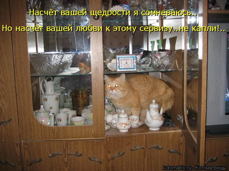 Котоматрица: Насчёт вашей щедрости я сомневаюсь.. Но насчёт вашей любви к этому сервизу..не капли!..