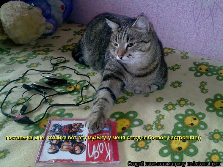Котоматрица: поставь-ка мне, хозяйка вот эту музыку, у меня сегодня боевое настроение))