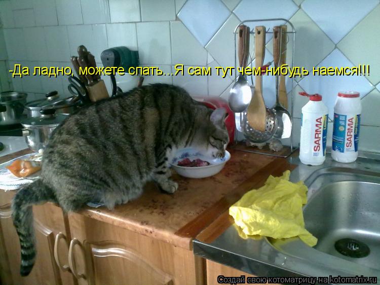 Котоматрица: -Да ладно, можете спать...Я сам тут чем-нибудь наемся!!!