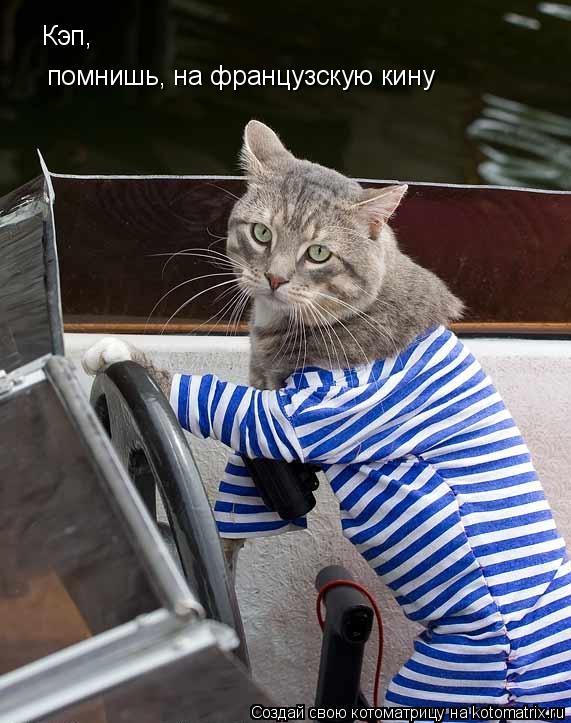 Котоматрица: помнишь, на французскую кину Кэп,