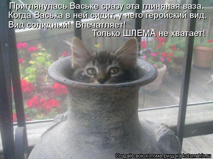 Приглянулась Ваське сразу эта глиняная ваза. Когда Васька в ней сидит, у него геройский вид. Вид соли... Котоматрица: Приглянулась Ваське сразу эта глиняная ваза. Когда Васька в ней сидит, у него геройский вид. Вид солидный! Впечатляет! Только ШЛЕМА не хвата