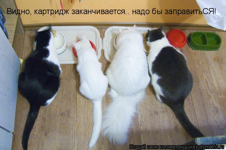 Котоматрица: Видно, картридж заканчивается.. надо бы заправитьСЯ!