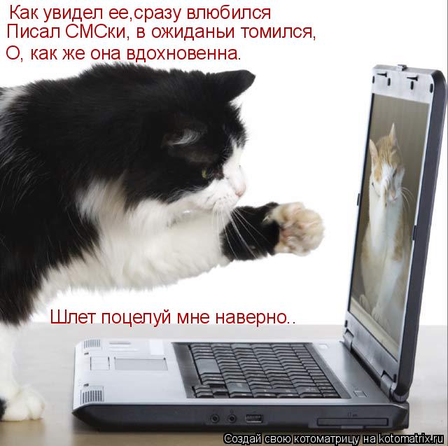 Котоматрица: Как увидел ее,сразу влюбился Писал СМСки, в ожиданьи томился, О, как же она вдохновенна. Шлет поцелуй мне наверно..
