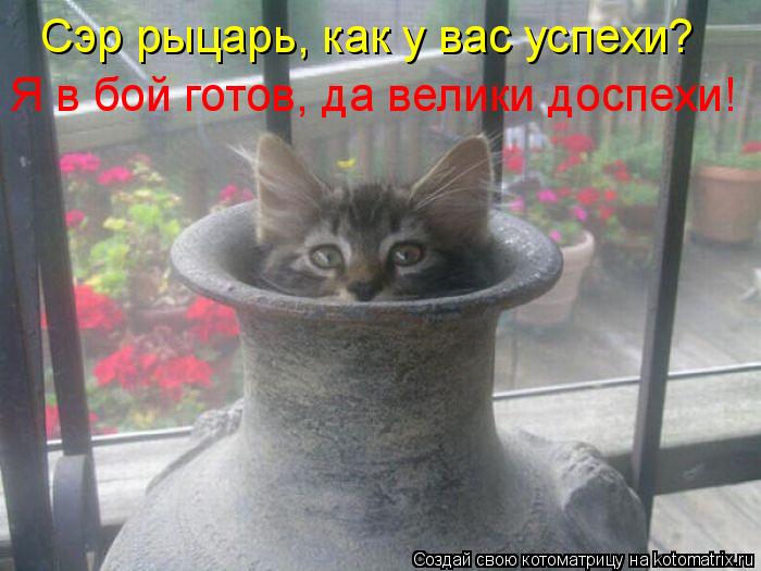 Сэр рыцарь, как у вас успехи? Я в бой готов, да велики доспехи!... Котоматрица: Сэр рыцарь, как у вас успехи? Я в бой готов, да велики доспехи!