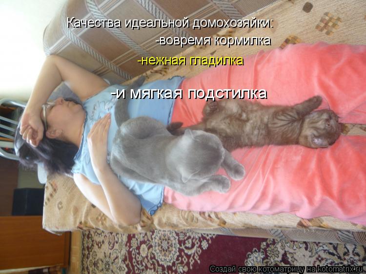 Котоматрица: Качества идеальной домохозяйки: -вовремя кормилка -нежная гладилка -и мягкая подстилка