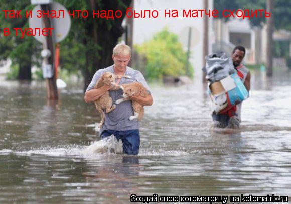 Котоматрица: так и знал что надо было  на матче сходить в туалет