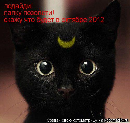 Котоматрица: подайди! лапку позолоти! скажу что будет в октябре 2012