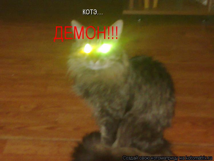 Котоматрица: котэ... ДЕМОН!!!