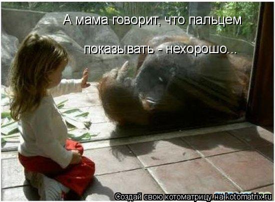 Котоматрица: А мама говорит, что пальцем показывать - нехорошо...