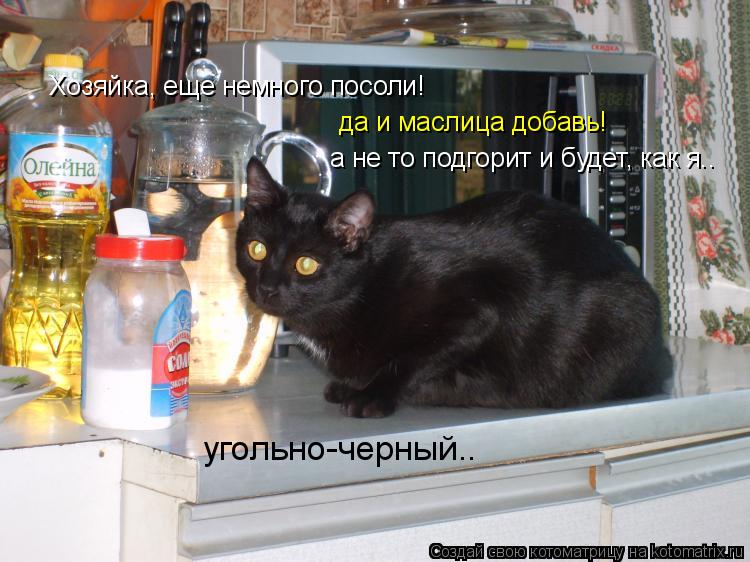 Котоматрица: Хозяйка, еще немного посоли! да и маслица добавь! а не то подгорит и будет, как я.. угольно-черный..