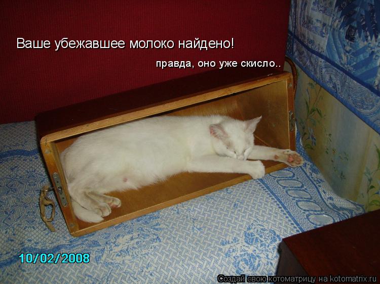 Ваше убежавшее молоко найдено! правда, оно уже скисло..... Котоматрица: Ваше убежавшее молоко найдено! правда, оно уже скисло..