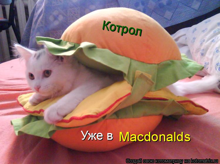 Котоматрица: Котрол Уже в  Macdonalds