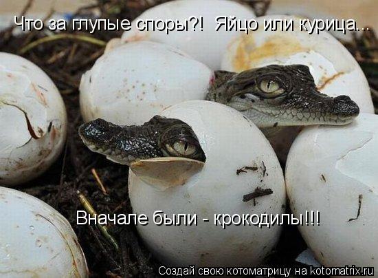 Котоматрица: Что за глупые споры?!  Яйцо или курица...  Вначале были - крокодилы!!!